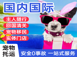 抚远航空快运国际宠物托运 【国